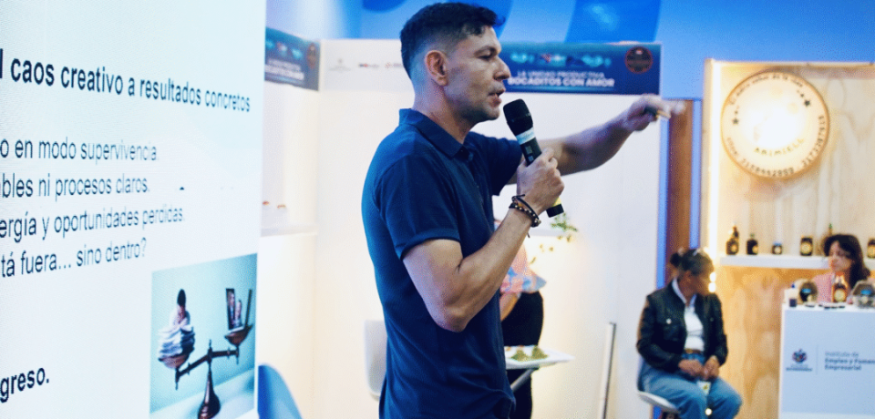 camara-bga-1-1080x675